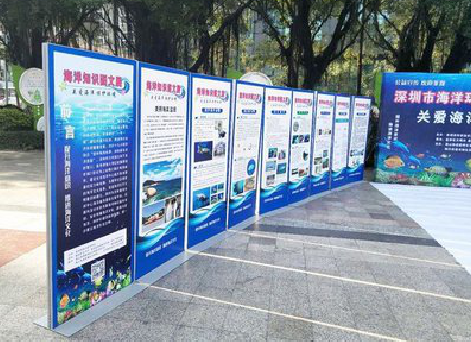 丘北KT板的种类和知识。